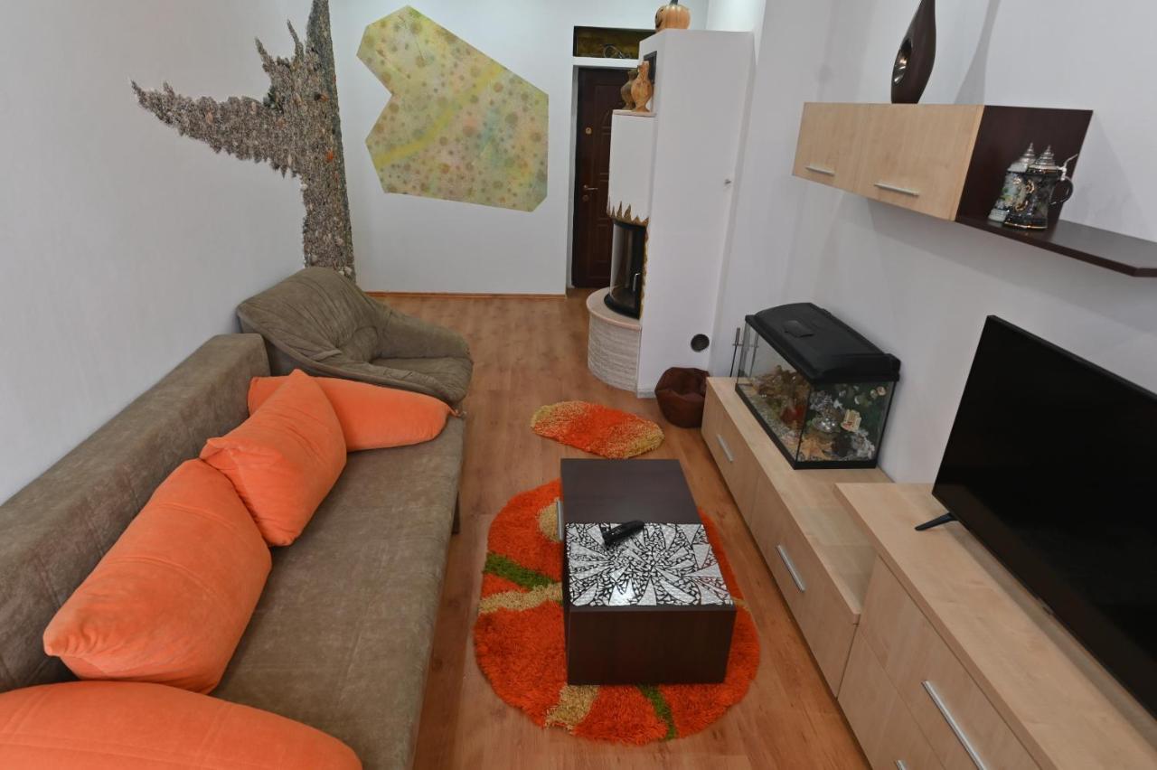 Apartament Camelia Petroşani Exteriér fotografie