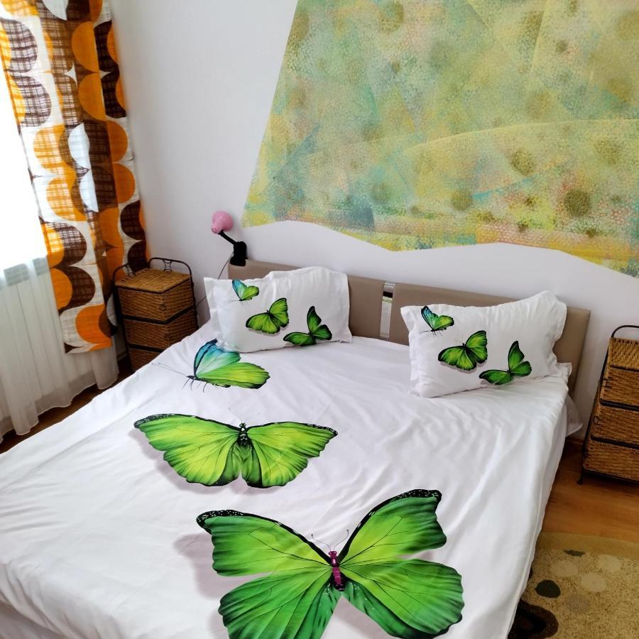 Apartament Camelia Petroşani Exteriér fotografie