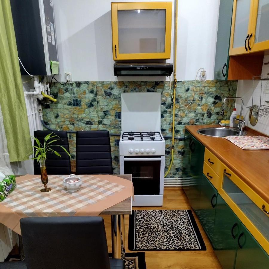 Apartament Camelia Petroşani Exteriér fotografie