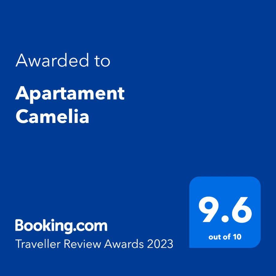 Apartament Camelia Petroşani Exteriér fotografie